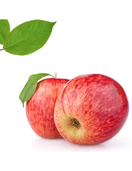 MANZANA TIPO GALA
