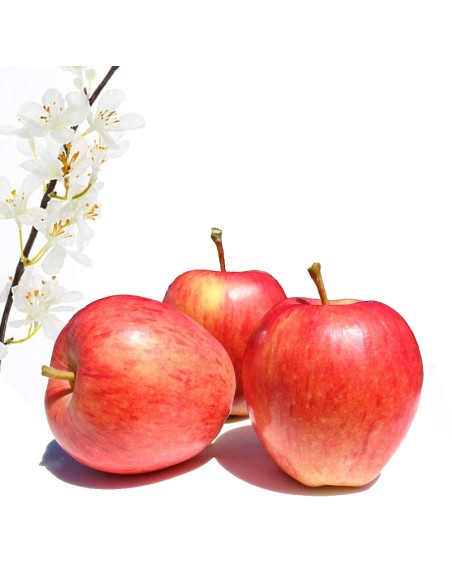 MANZANA TIPO GALA
