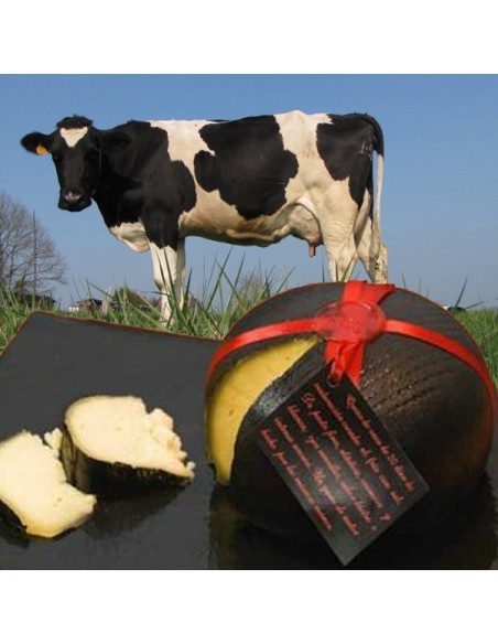 QUESO NEGRO DE VACA