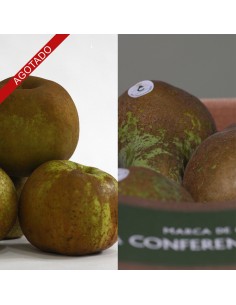 MANZANA REINETA+PERA CONFERENCIA 4 KG 2