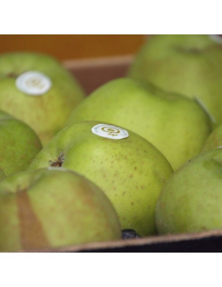 MANZANA REINETA MEDIANA. 10 Kg. PORTES GRATIS.!!! AGOTADO!!!!