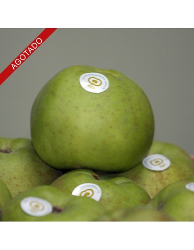 MANZANA REINETA MEDIANA. 10 Kg. PORTES GRATIS.!!! AGOTADO!!!!