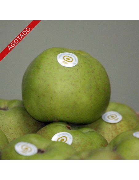 MANZANA REINETA MEDIANA. 10 Kg. PORTES GRATIS.!!! AGOTADO!!!!