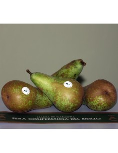 PERA CONFERENCIA MEDIANA. 10 Kg. PORTES GRATIS 2