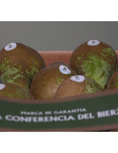 PERA CONFERENCIA MEDIANA. 10 Kg. PORTES GRATIS