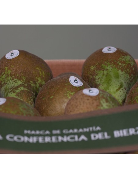 PERA CONFERENCIA MEDIANA. 10 Kg. PORTES GRATIS