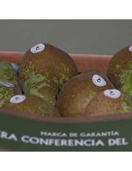 PERA CONFERENCIA MEDIANA. 10 Kg. PORTES GRATIS