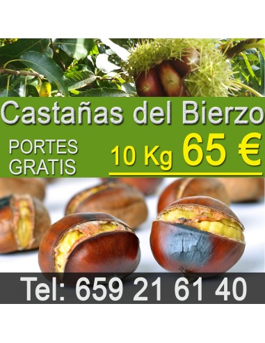 CASTAÑAS DEL BIERZO   10 Kg. PORTES GRATIS