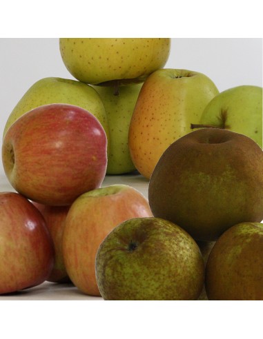 CAJA MIXTA MANZANAS REINETA, FUJI Y GOLDEN. 10 KG. PORTES GRATIS