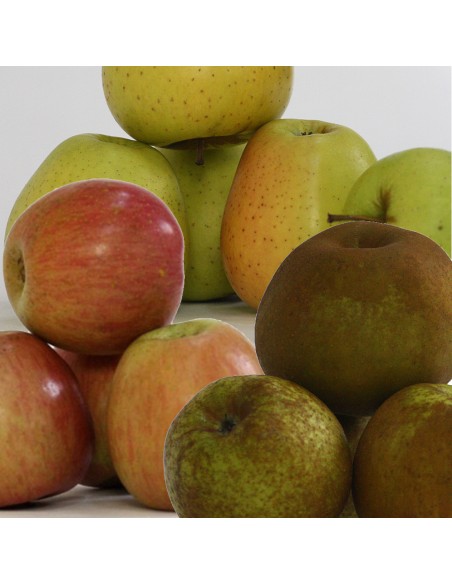 CAJA MIXTA MANZANAS REINETA, FUJI Y GOLDEN. 10 KG. PORTES GRATIS