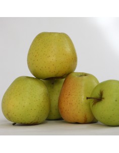 CAJA MIXTA MANZANAS REINETA, FUJI Y GOLDEN. 10 KG. PORTES GRATIS 2