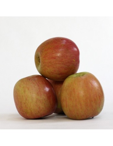 CAJA MIXTA MANZANAS REINETA, FUJI Y GOLDEN. 10 KG. PORTES GRATIS