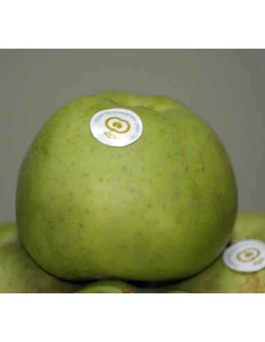 MANZANA REINETA GRANDE 10 Kg. PORTES GRATIS.