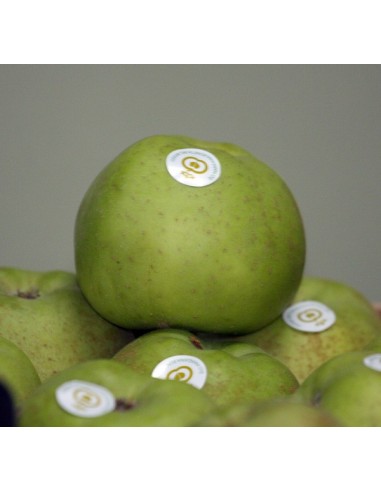 MANZANA REINETA GRANDE 10 Kg. PORTES GRATIS.