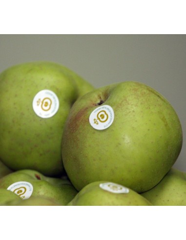 MANZANA REINETA GRANDE 10 Kg. PORTES GRATIS.