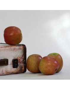 MANZANA FUJI GRANDE 4 KG 2