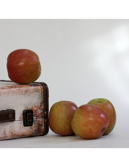 MANZANA FUJI GRANDE 4 KG