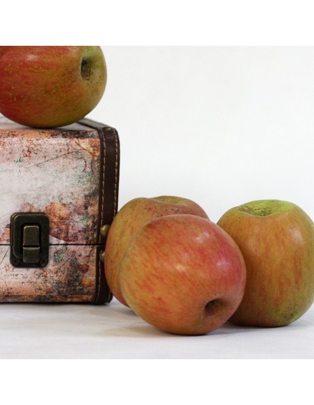 MANZANA FUJI GRANDE 4 KG