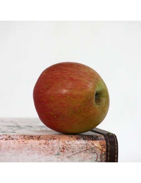 MANZANA FUJI GRANDE 4 KG