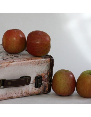 MANZANA FUJI GRANDE 4 KG