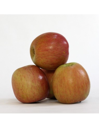 MANZANA FUJI GRANDE 4 KG