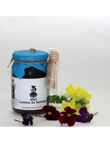 MIEL DE CASTAÑO ‘CAMINO DE SANTIAGO’
